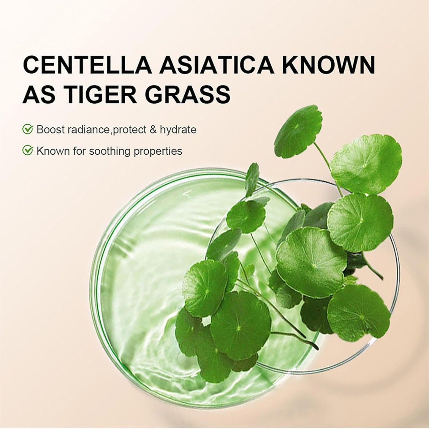 Kosteuttava CC-voidemeikkivoide Centella Asiaticalla❄️